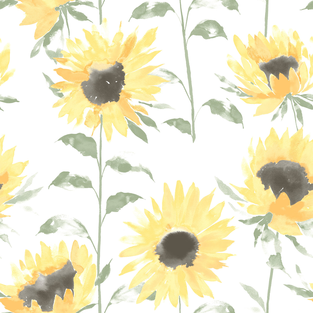 Catherine Lansfield Painted Sunflowers Wallpaper in Yellow