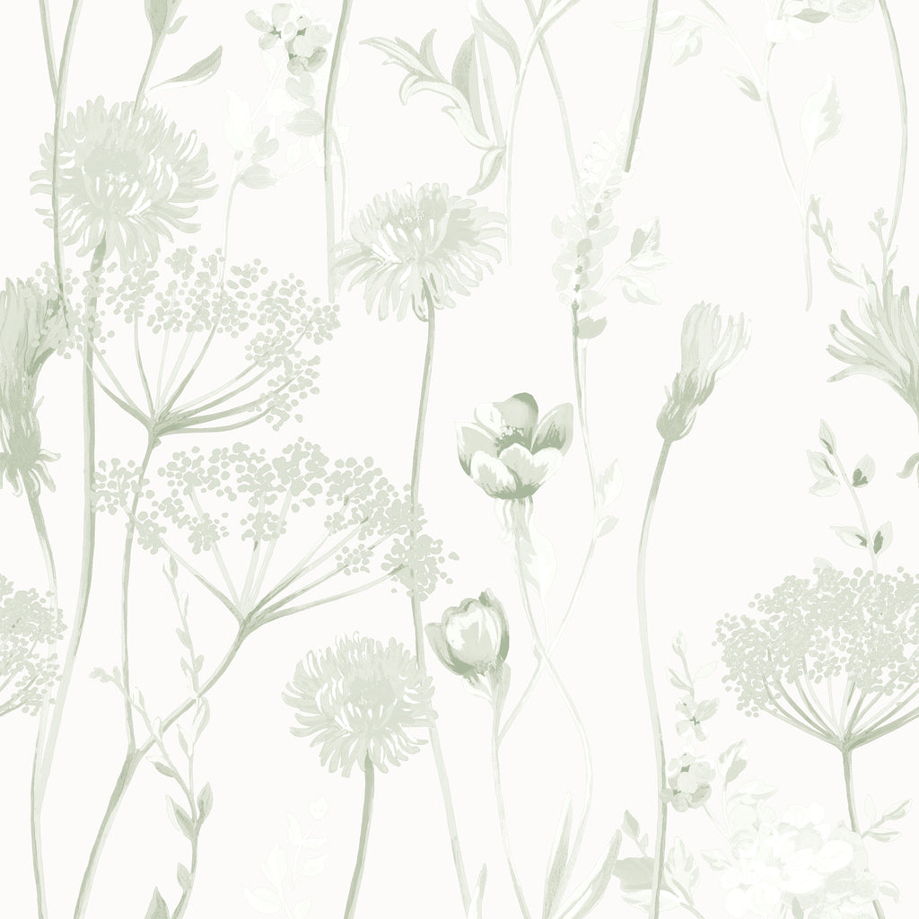 Catherine Lansfield Meadowsweet Floral Wallpaper in Sage Green