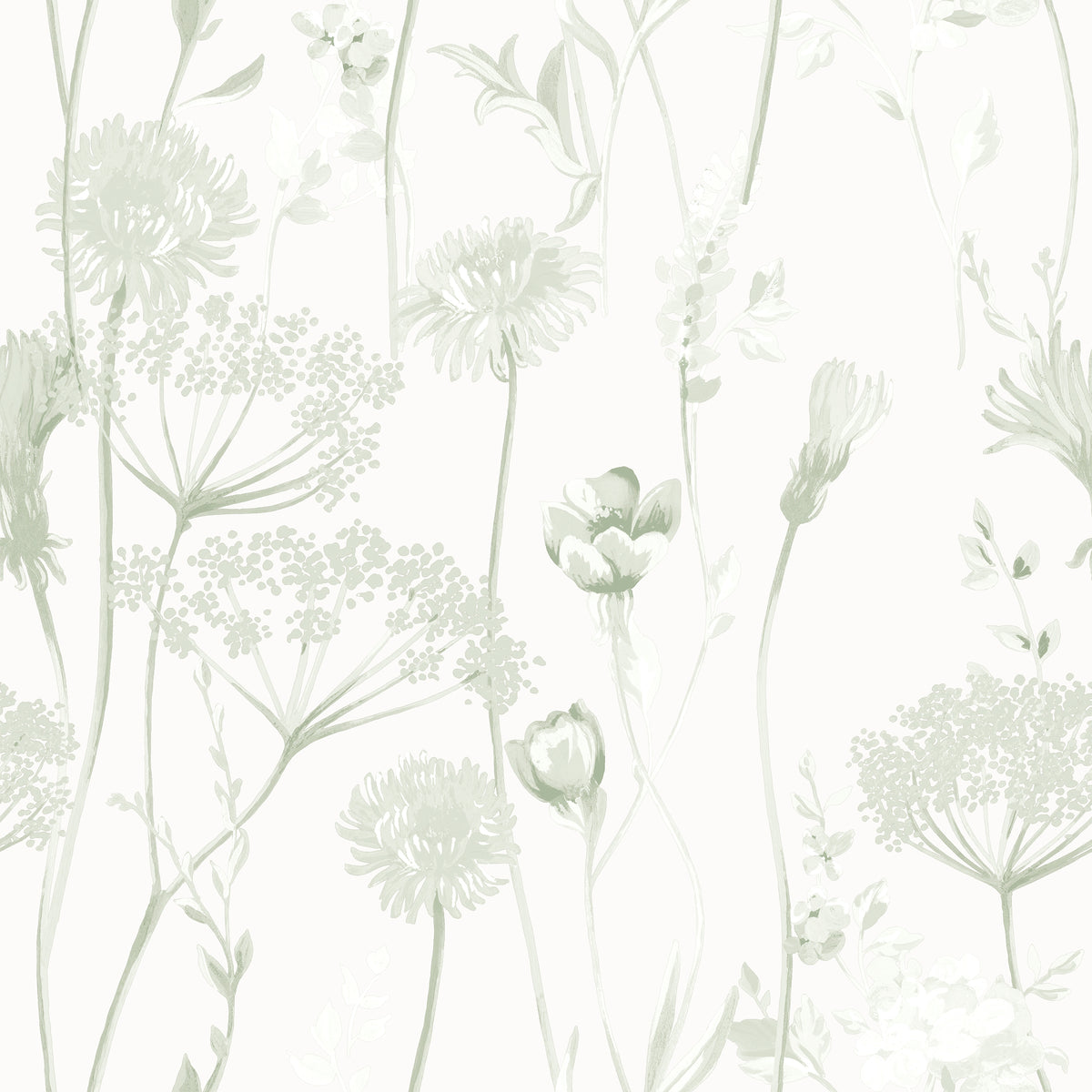 Catherine Lansfield Meadowsweet Floral Wallpaper in Sage Green