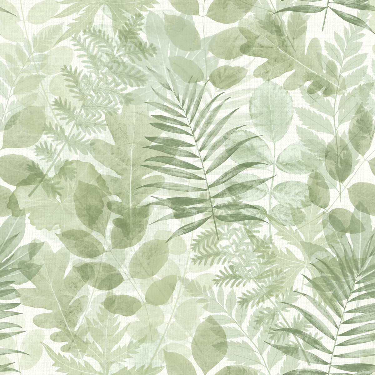 Catherine Lansfield Leaves Wallpaper in Green
