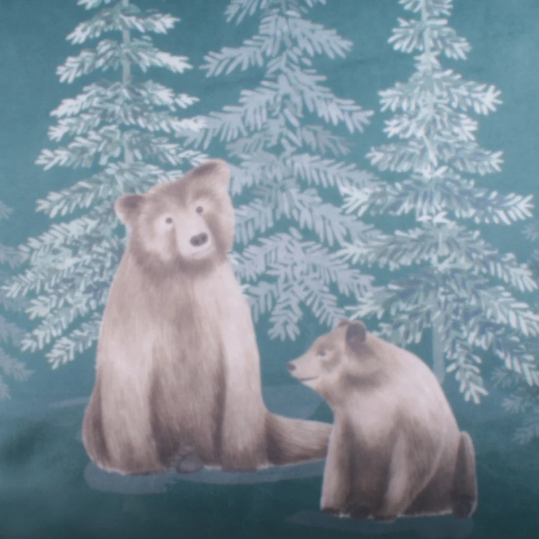 Dreams & Drapes Bear Walks Filled Velvet Cushion in Teal 43 x 43cm