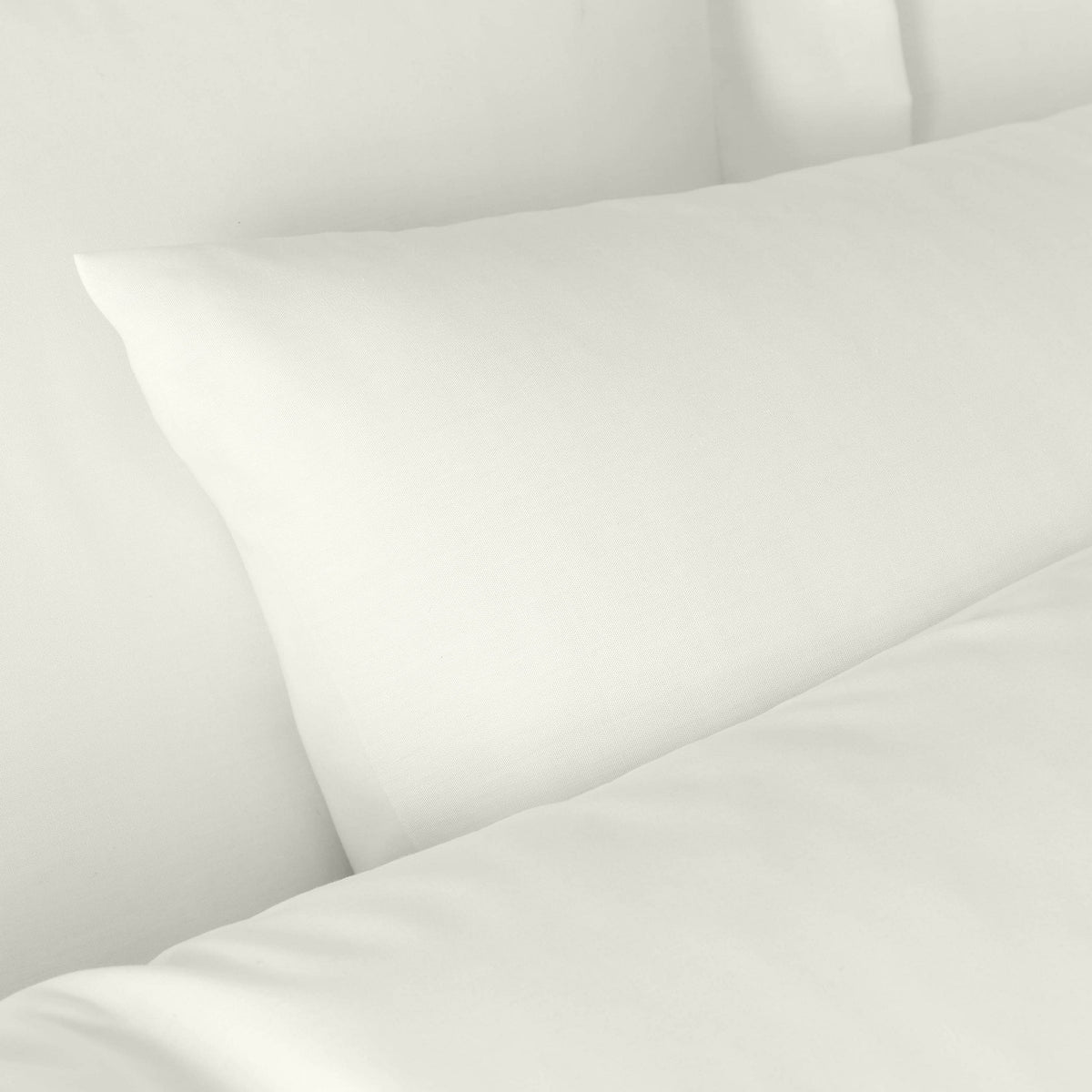 Bianca 180TC Egyptian Cotton Pillowcase Pair Cream 50x75cm