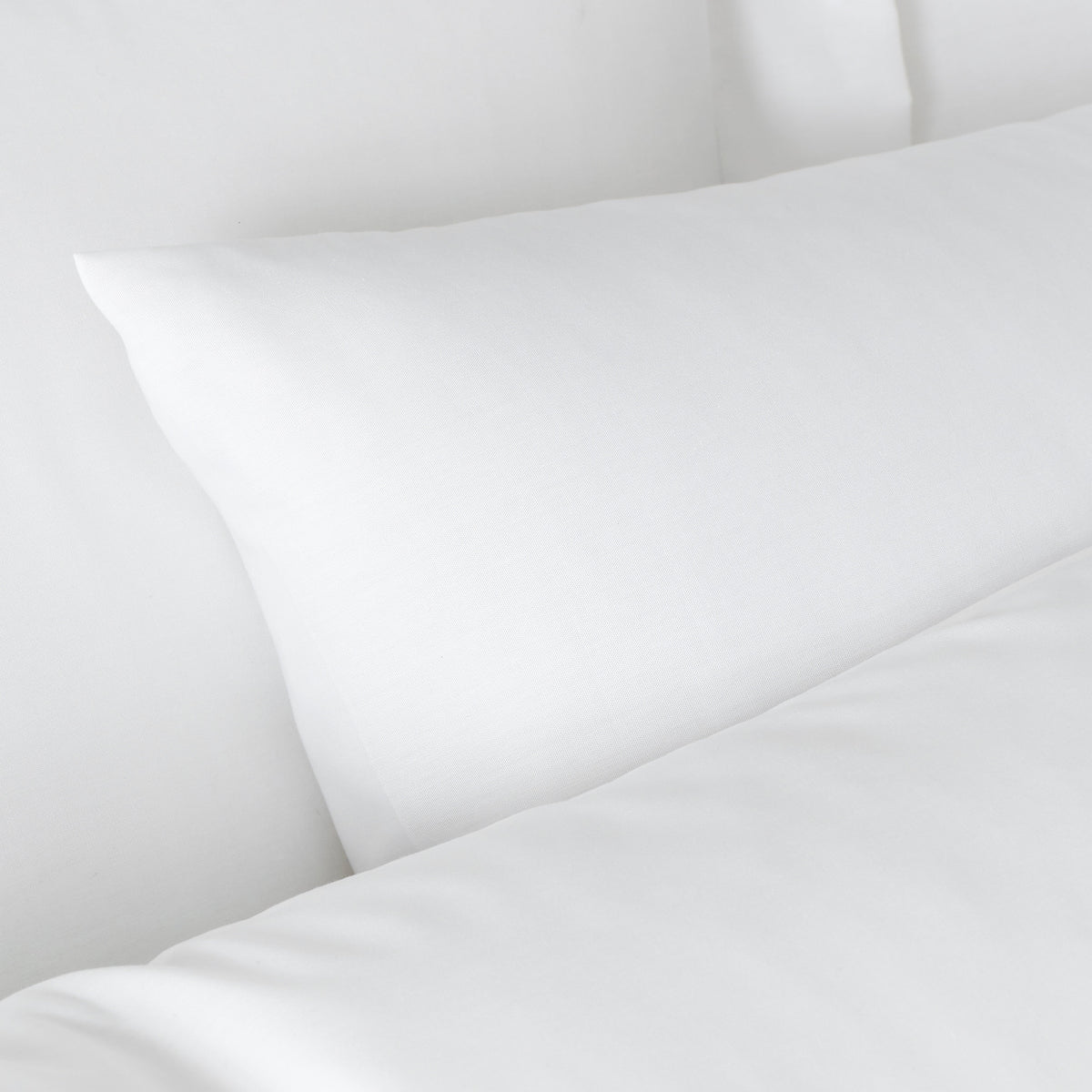Bianca 180TC Egyptian Cotton Pillowcase Pair White 50x75cm