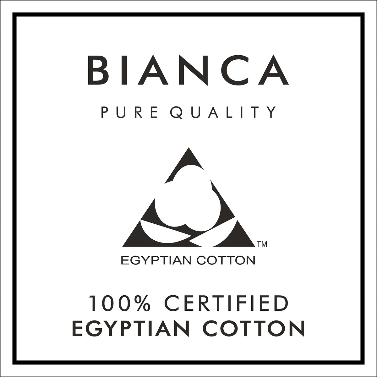 Bianca 180TC Egyptian Cotton Pillowcase Pair Cream 50x75cm