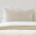 Bianca Fine Linens Attica Velvet Embroidered Pillow Sham Pair Natural