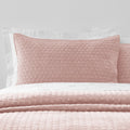 Bianca Fine Linens Attica Velvet Embroidered Pillow Sham Pair Pink
