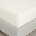 Bianca 200TC Cotton Percale Fitted Sheet Cream 32cm