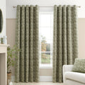 Bianca Fine Linens Chenille Leaves Lined Eyelet Curtains in Green