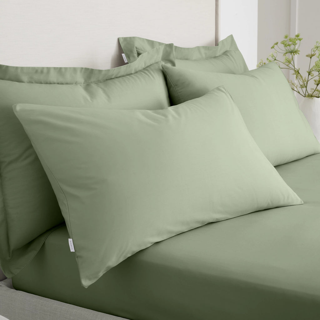 Bianca Fine Linens 200TC Cotton Percale Standard Pillowcase Pair Sage Green