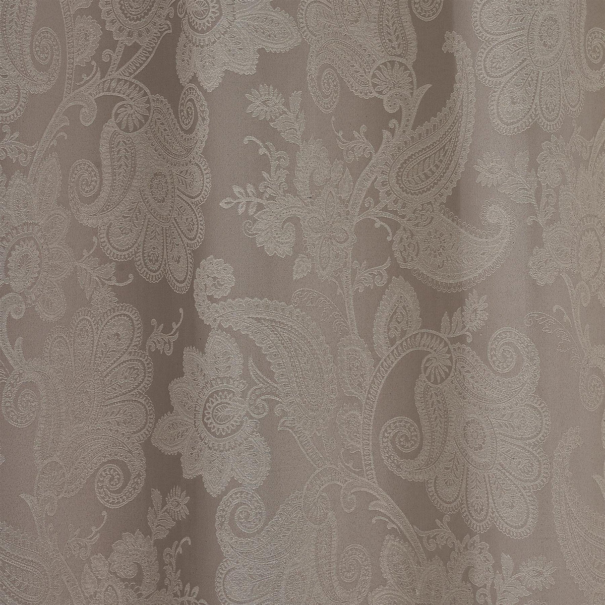 Catherine Lansfield Opulent Jacquard Fully Lined Floral Eyelet Curtains Champagne